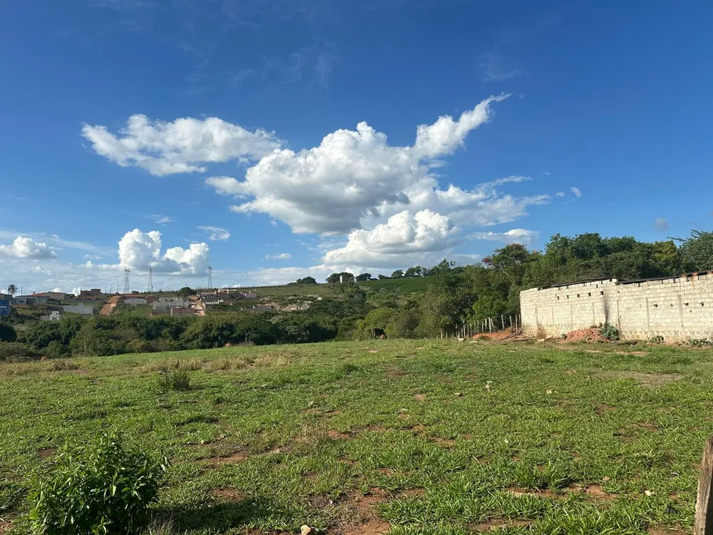 Terreno, 19500 m² - Foto 5