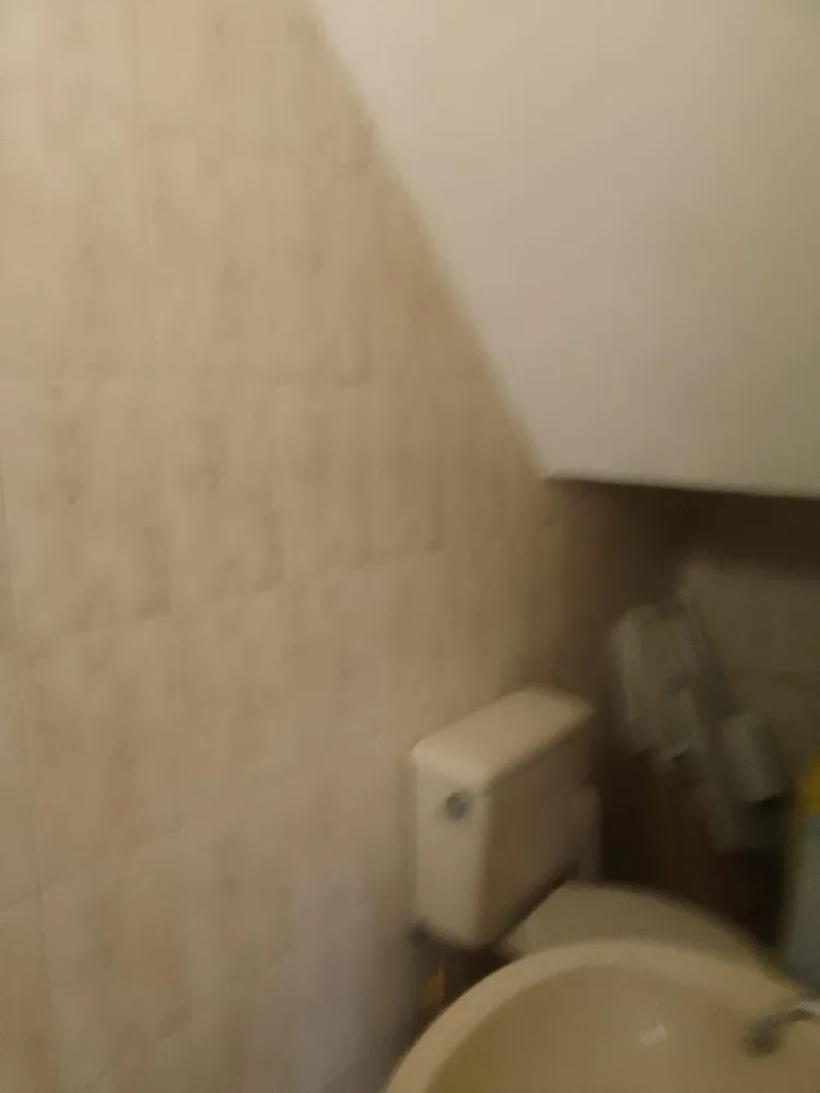 Casa, 3 quartos, 325 m² - Foto 6