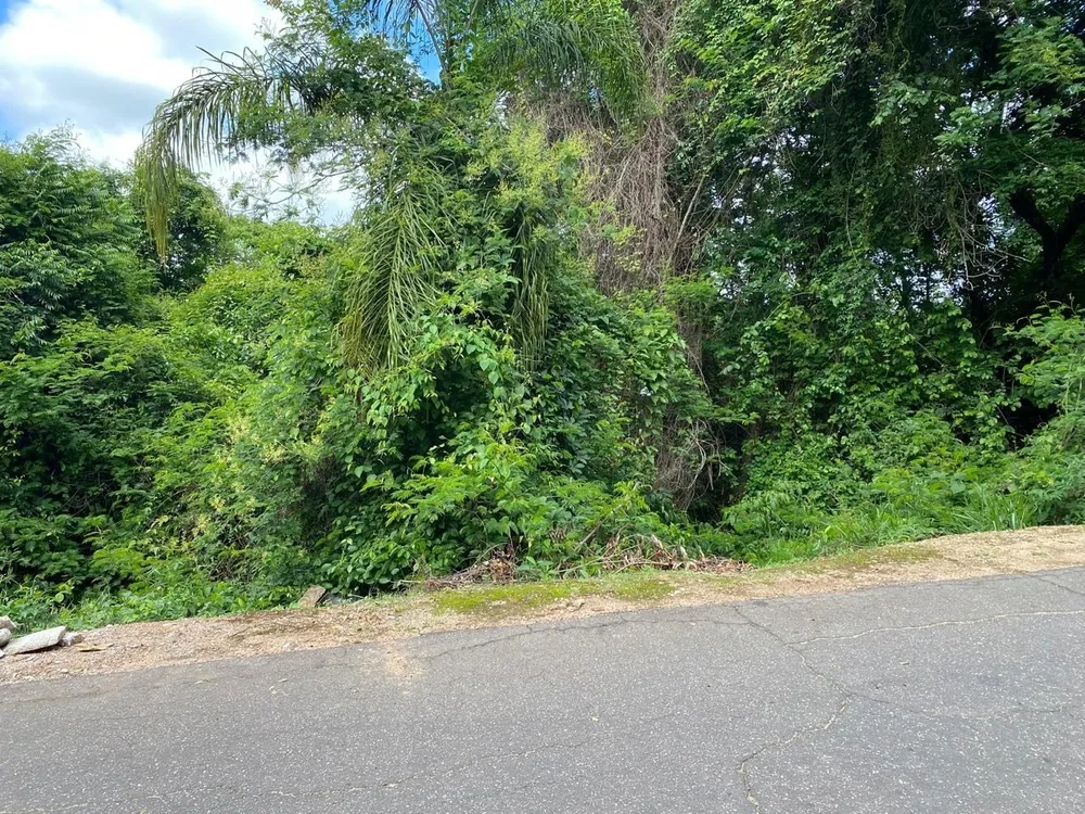 Terreno, 1293 m² - Foto 1