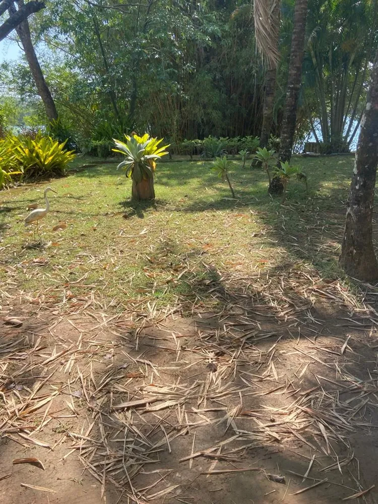 Chácara, 6 quartos, 10000 m² - Foto 14