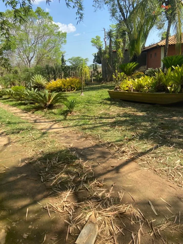 Chácara, 6 quartos, 10000 m² - Foto 8