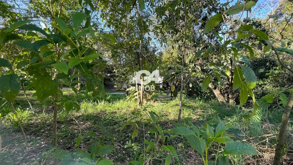 Terreno, 2800 m² - Foto 6
