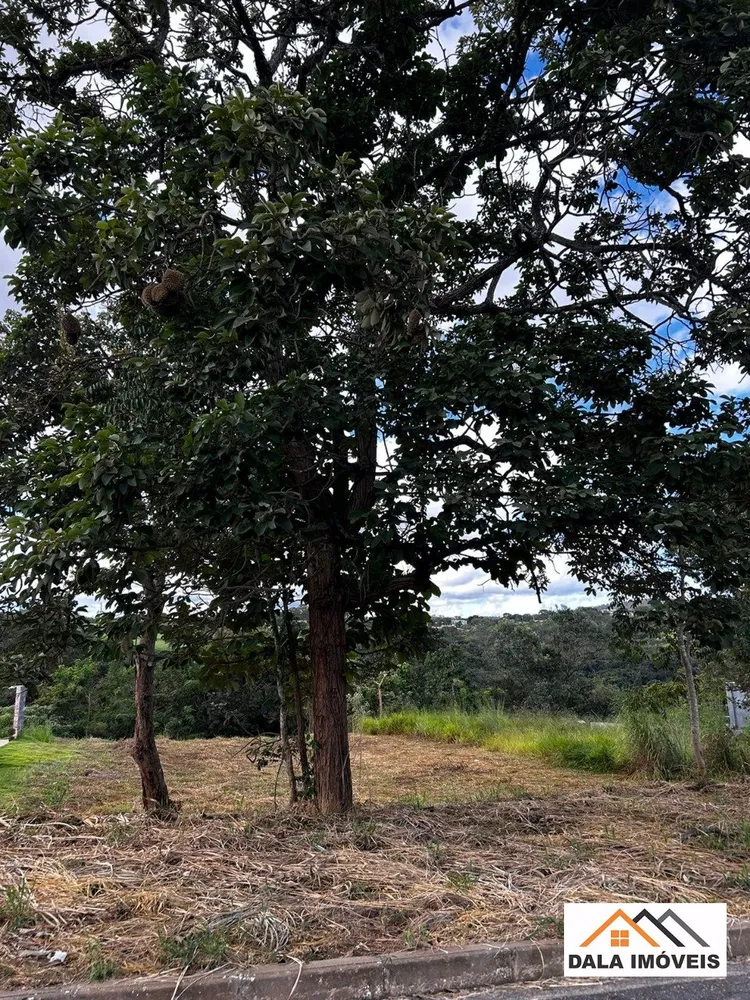 Terreno, 1150 m² - Foto 6