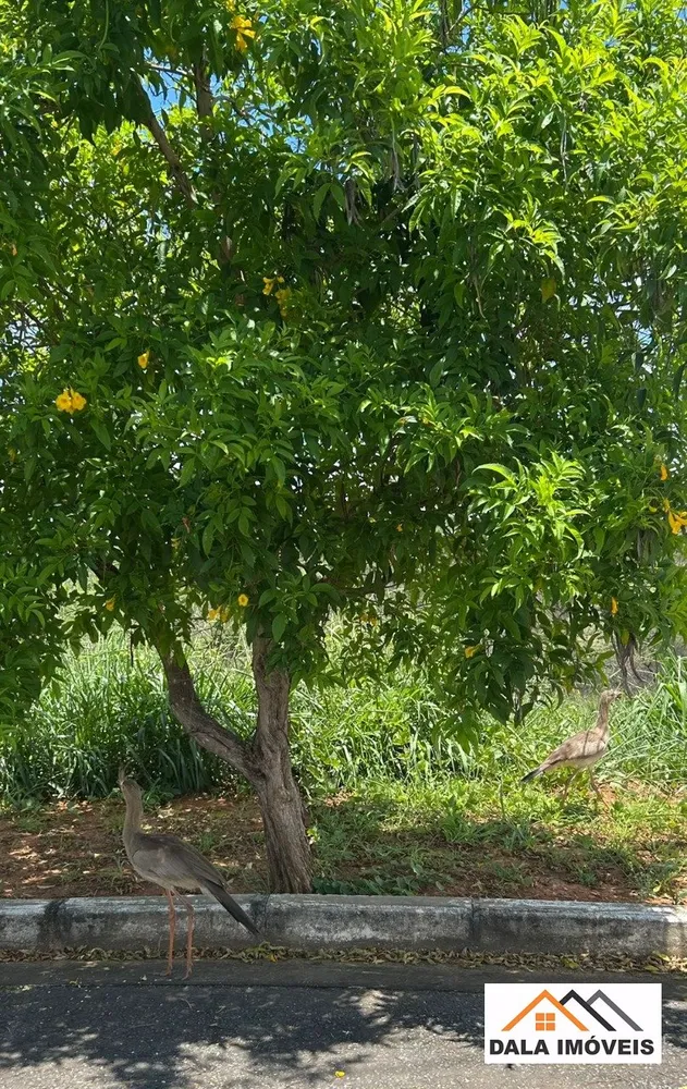 Terreno, 1150 m² - Foto 11
