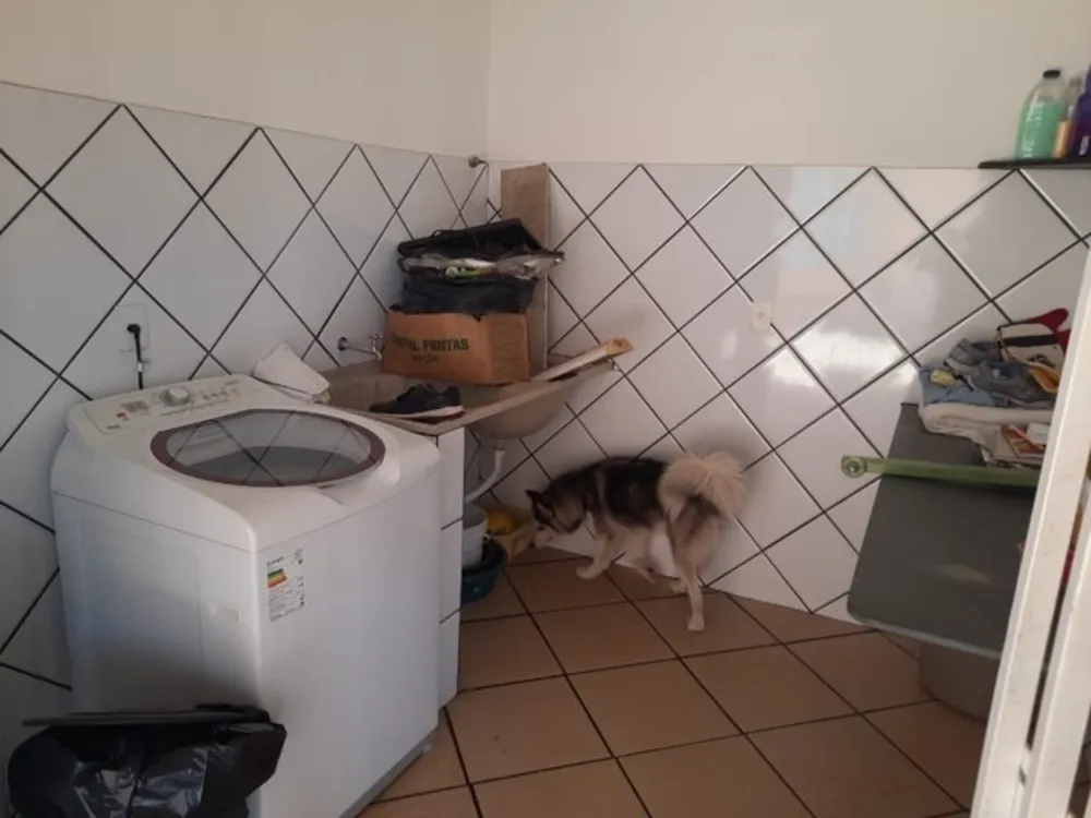 Casa, 4 quartos, 360 m² - Foto 10
