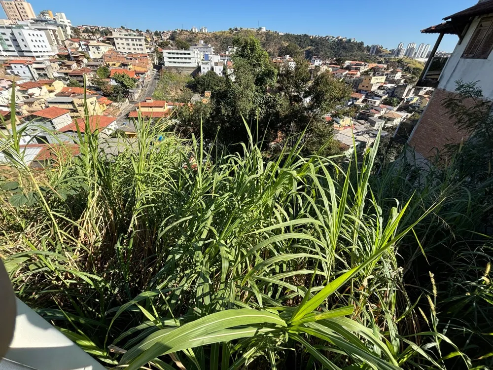 Terreno, 450 m² - Foto 3