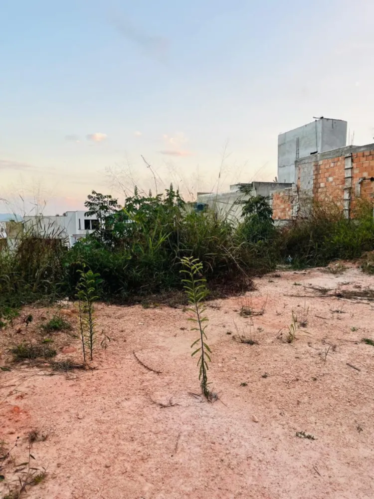 Terreno, 200 m² - Foto 8