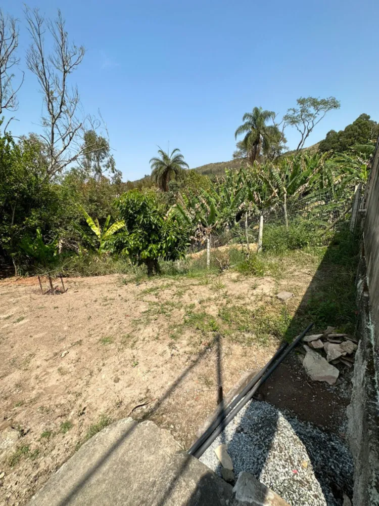 Casa, 5 quartos, 320 m² - Foto 12