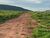 Fazenda, 1050 hectares - Foto 2