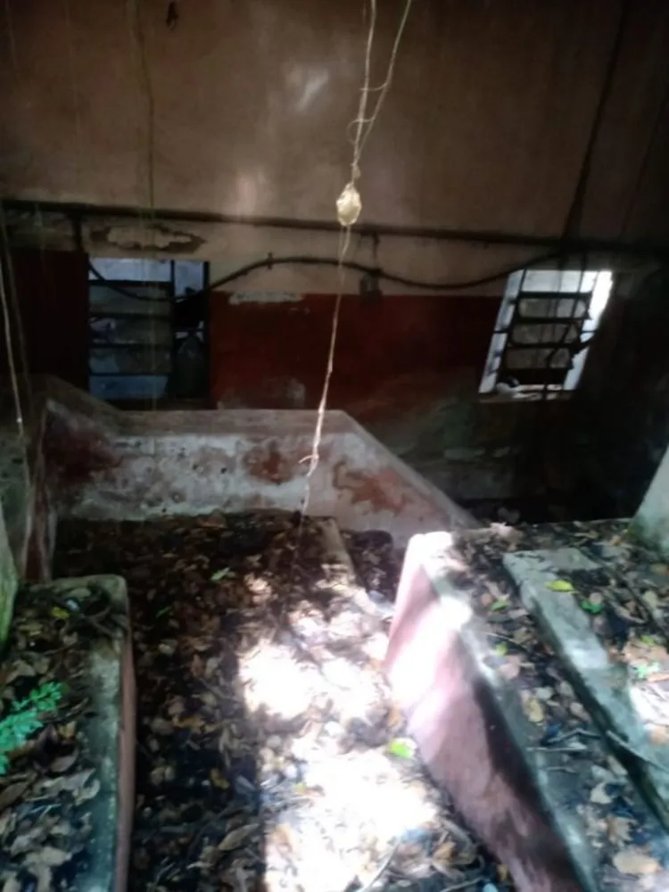 Casa, 3 quartos, 243 m² - Foto 6