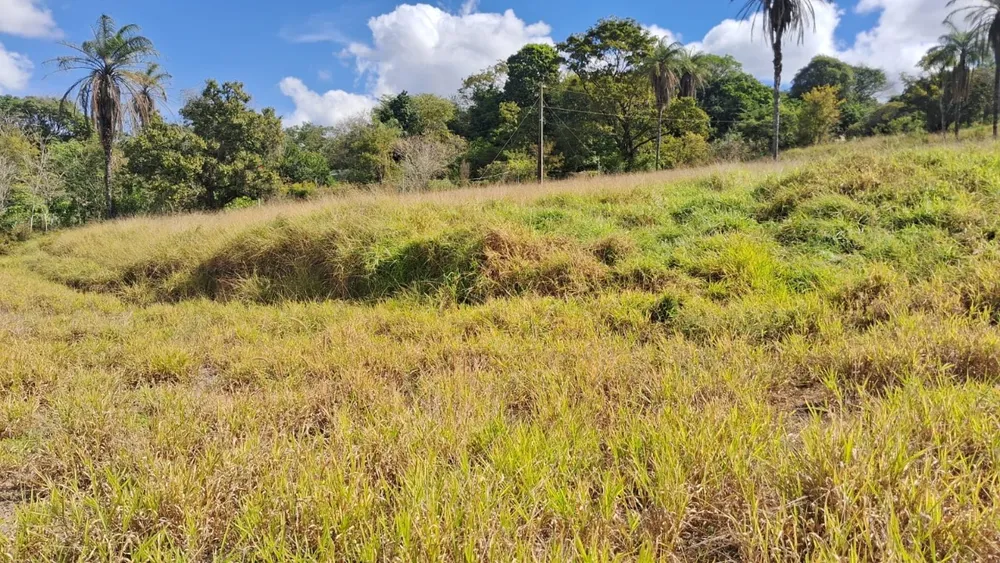 Terreno, 1 hectares - Foto 10