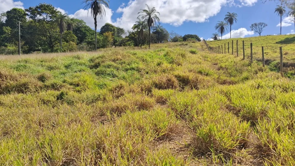 Terreno, 1 hectares - Foto 1
