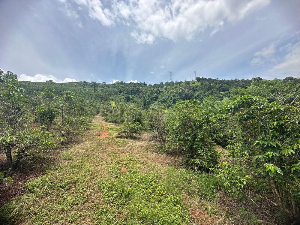 Fazenda à venda com 2 quartos, 160000m² - Foto 4
