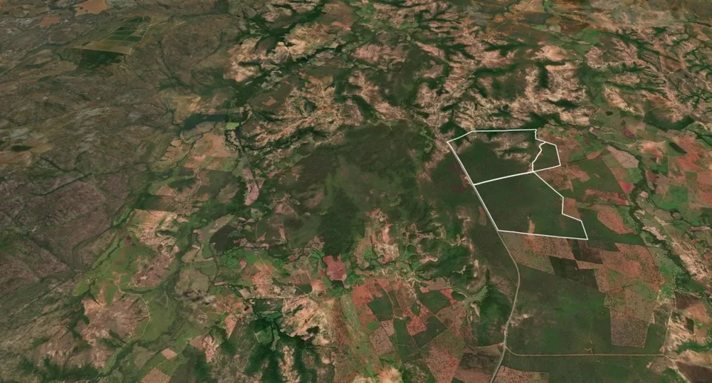 Fazenda, 795 hectares - Foto 4