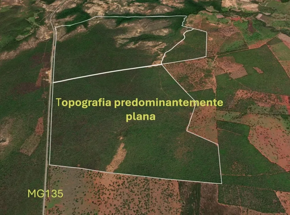 Fazenda, 795 hectares - Foto 1