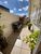 Apartamento, 3 quartos, 193 m² - Foto 13