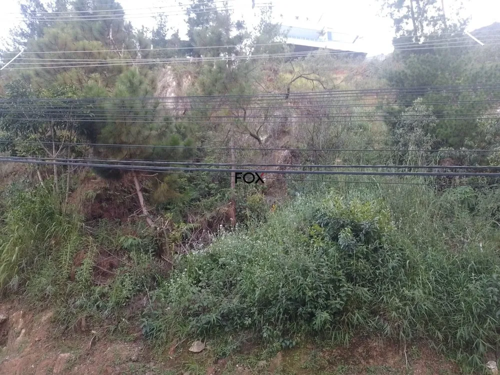 Terreno, 1205 m² - Foto 1