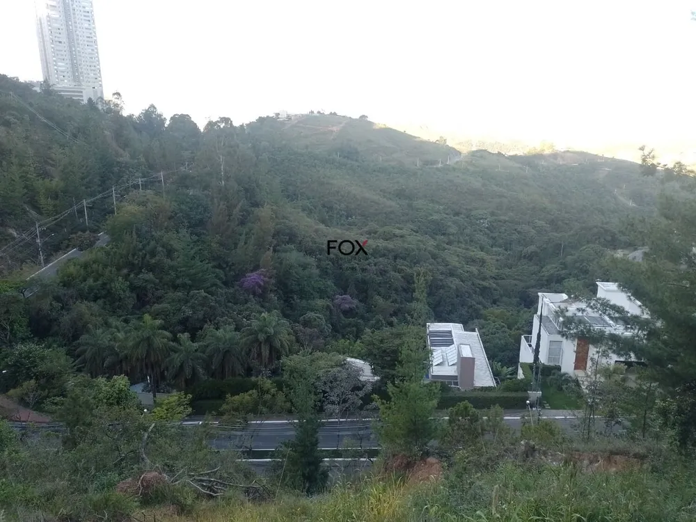 Terreno, 1205 m² - Foto 4