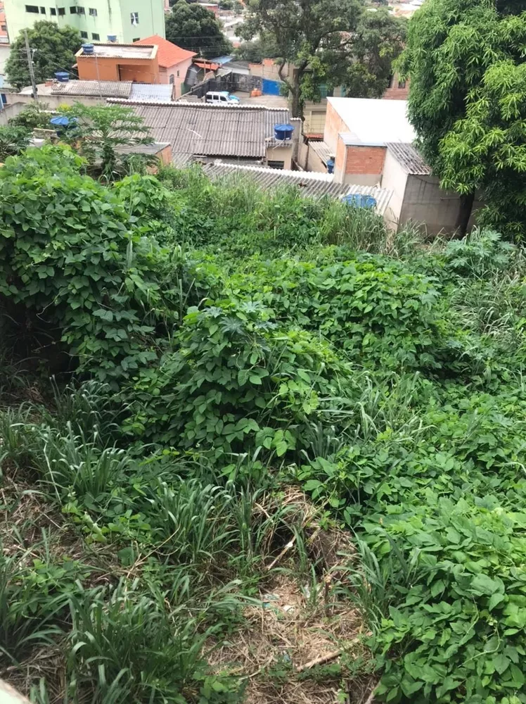 Terreno à venda, 180m² - Foto 1