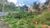 Terreno, 213 m² - Foto 4