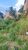 Terreno, 213 m² - Foto 2