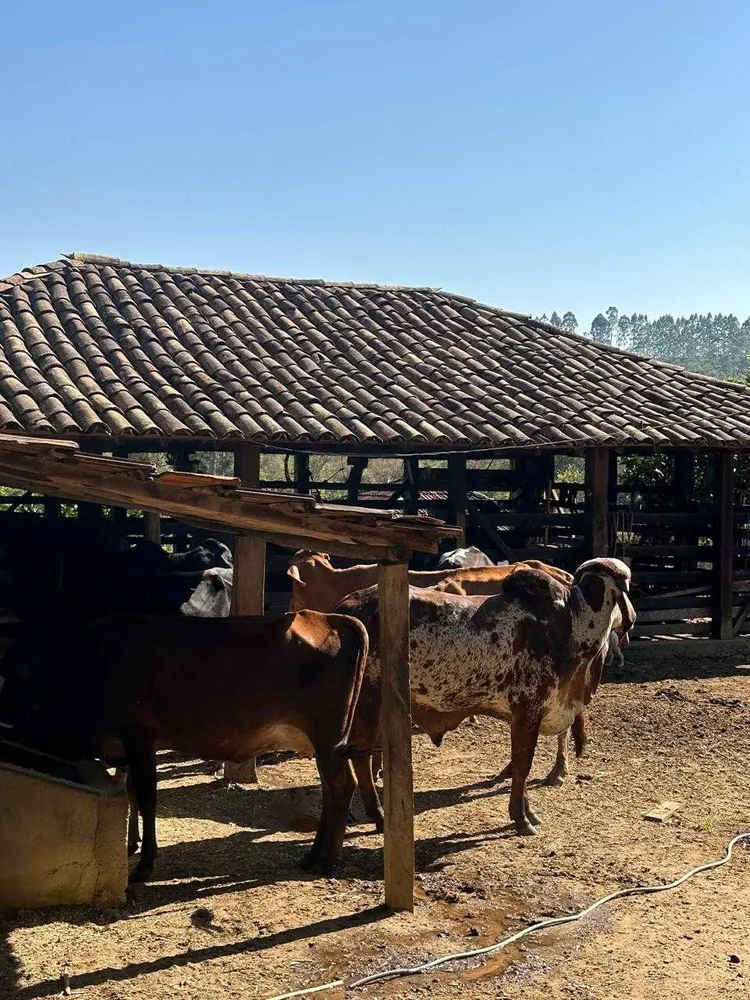 Fazenda, 450 m² - Foto 7