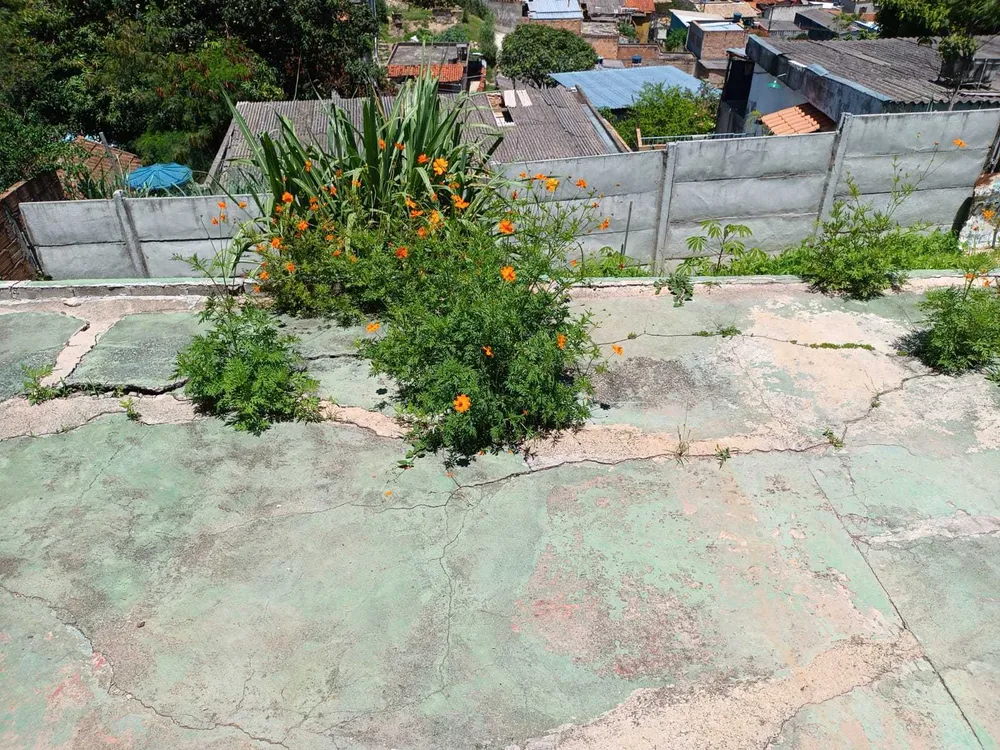 Casa, 4 quartos, 184 m² - Foto 11
