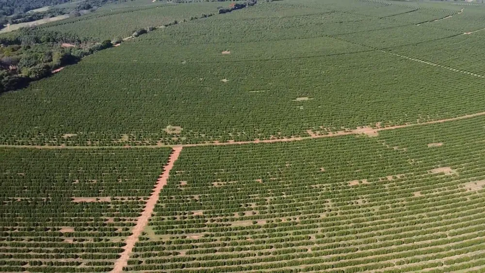 Fazenda, 120 hectares - Foto 6