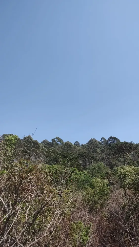 Fazenda, 1 quarto - Foto 2