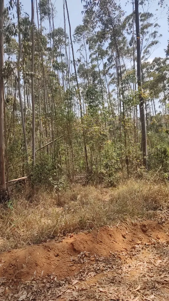 Fazenda, 1 quarto - Foto 1