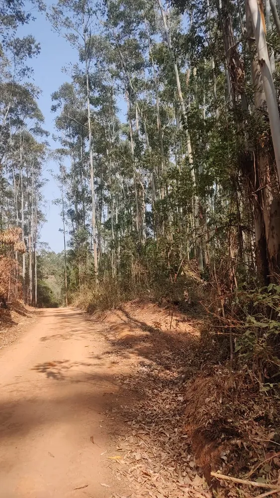 Fazenda, 1 quarto - Foto 5