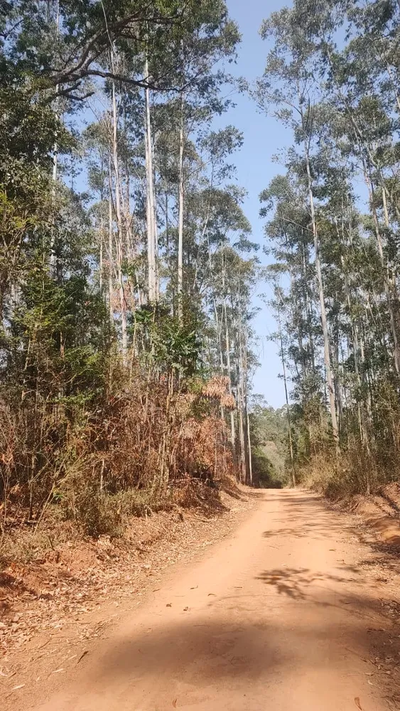 Fazenda, 1 quarto - Foto 4