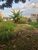 Terreno, 240 m² - Foto 5