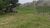 Fazenda, 77 hectares - Foto 1