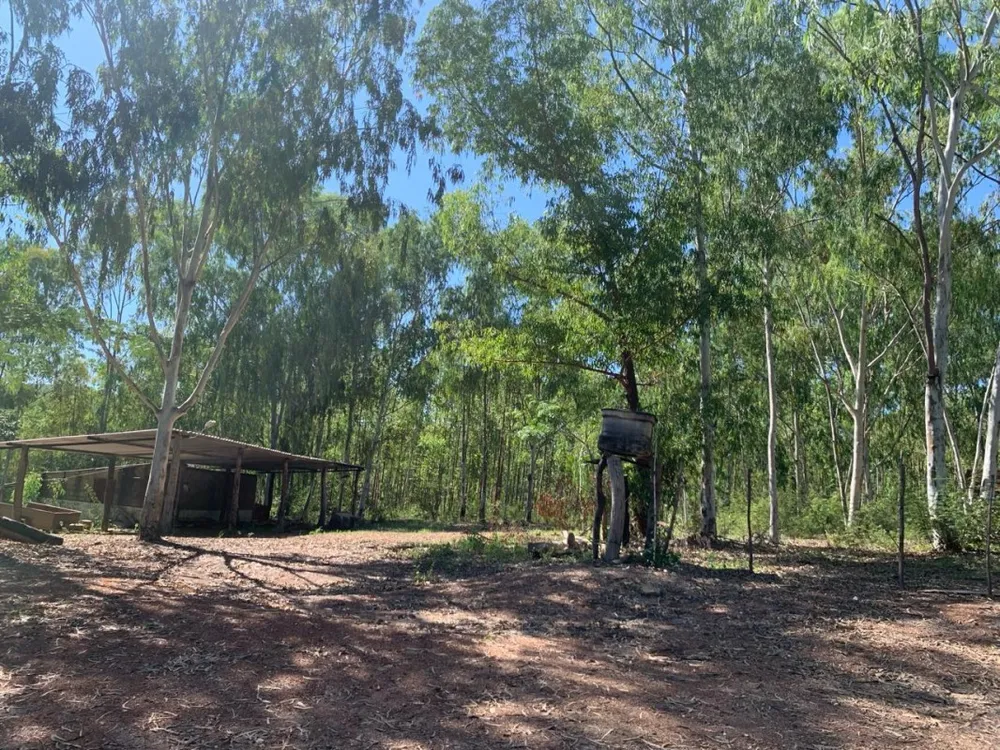 Fazenda, 3 quartos - Foto 4