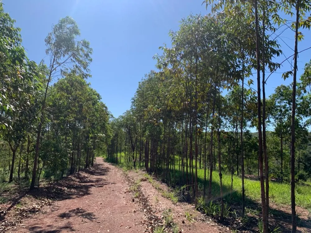 Fazenda, 3 quartos - Foto 23
