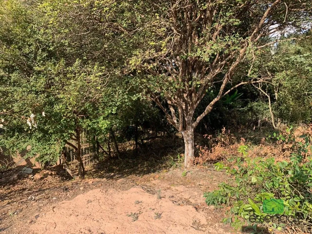 Terreno, 2000 m² - Foto 10