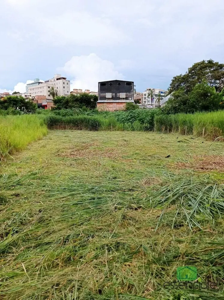 Terreno, 2000 m² - Foto 2