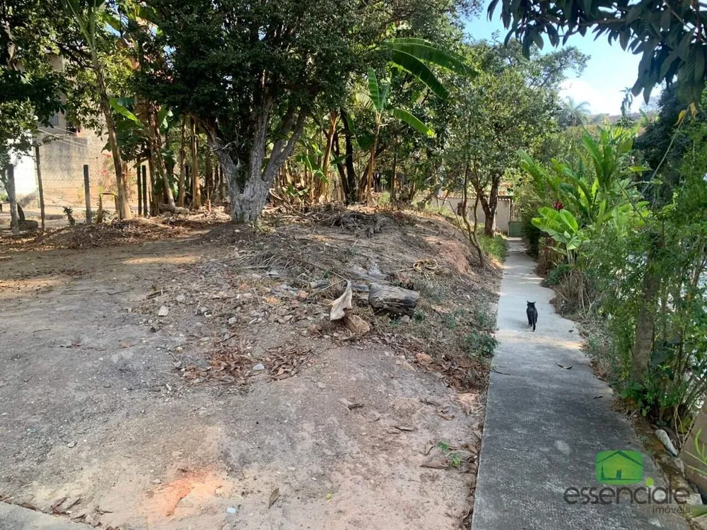 Terreno, 2000 m² - Foto 6