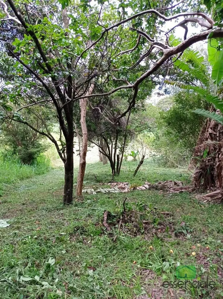Terreno, 2000 m² - Foto 4
