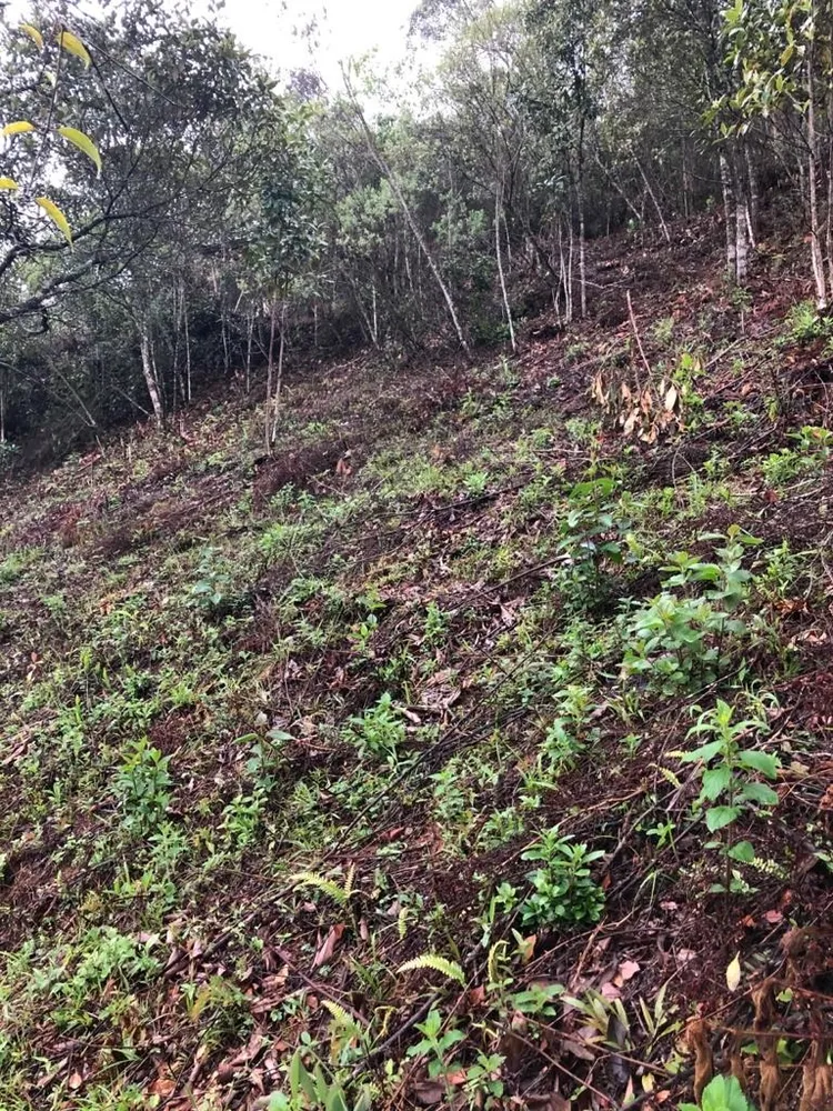 Terreno, 5775 m² - Foto 1