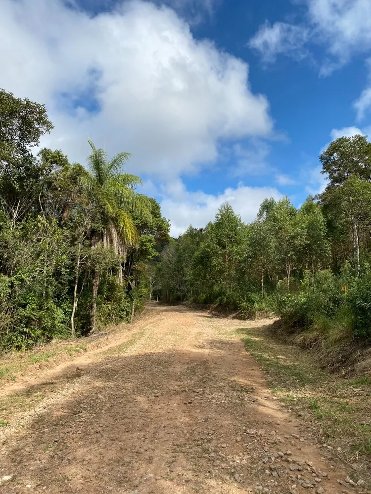 Fazenda, 2 hectares - Foto 4
