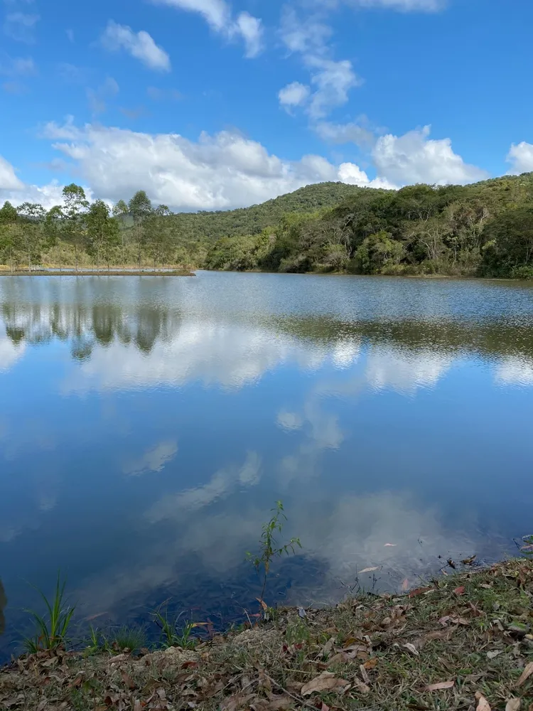 Chácara, 1 quarto, 2 hectares - Foto 1