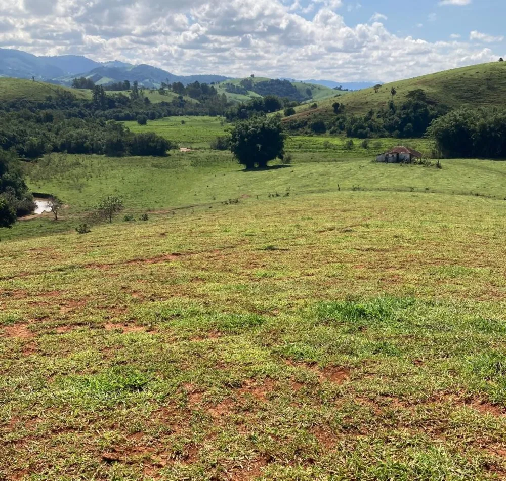 Fazenda, 165 hectares - Foto 11