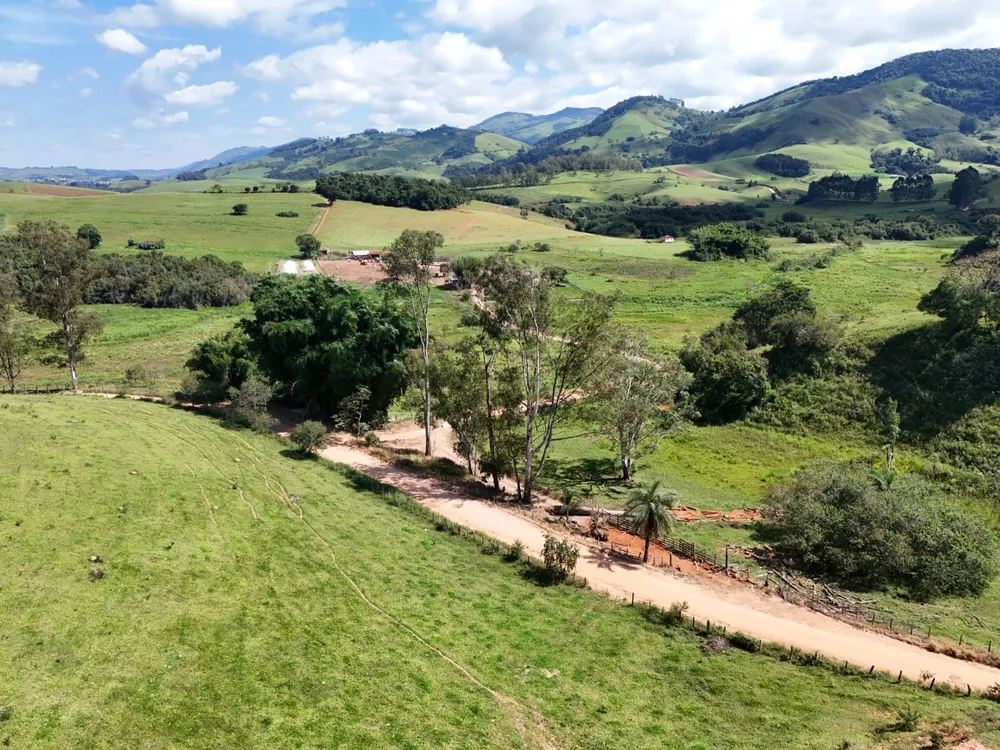 Fazenda, 165 hectares - Foto 3