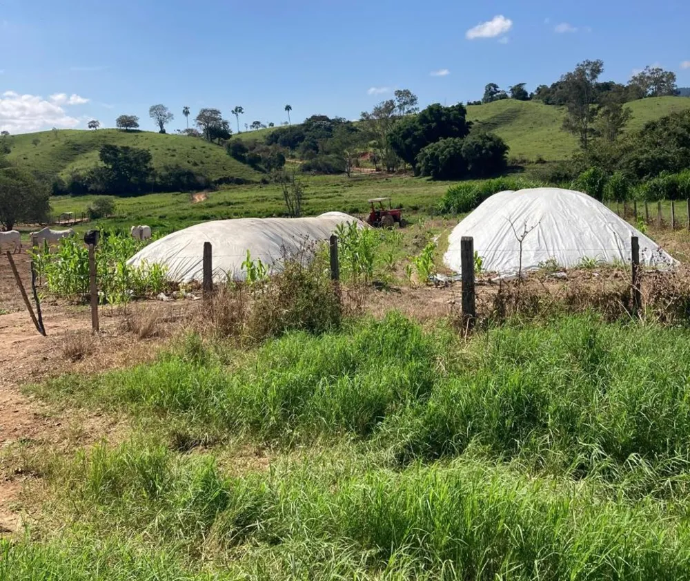 Fazenda, 165 hectares - Foto 6