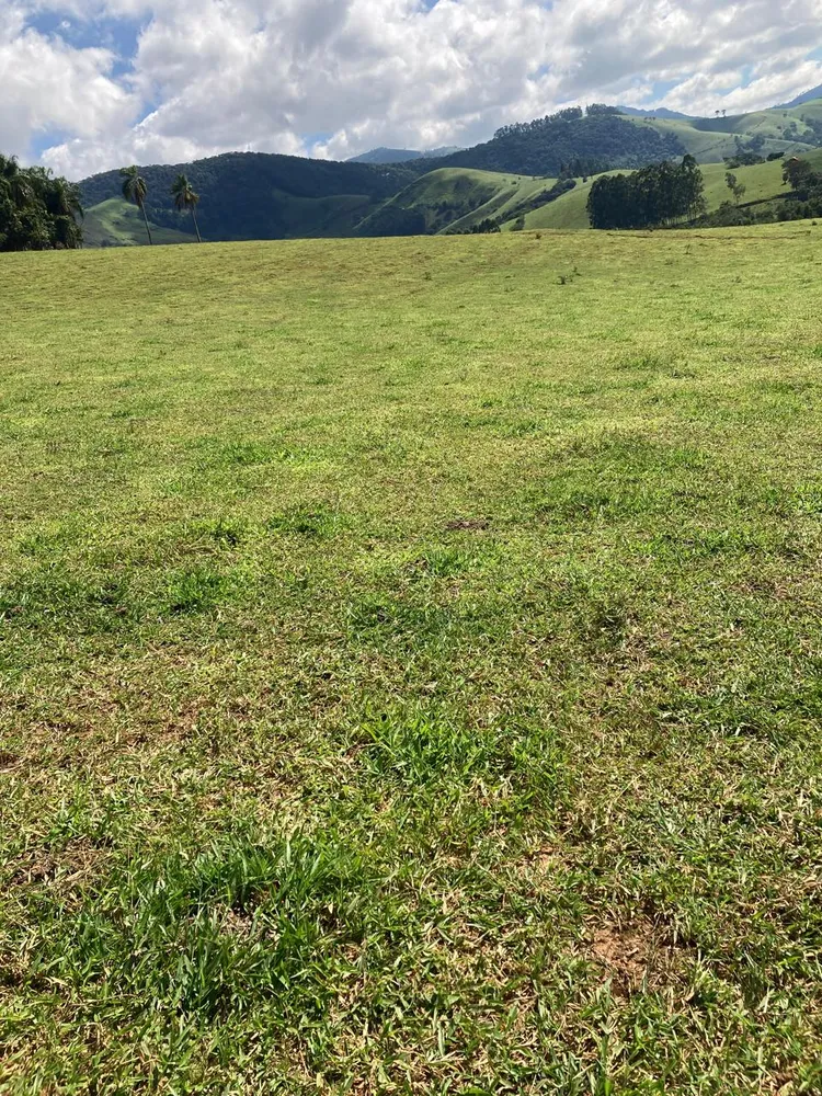 Fazenda, 165 hectares - Foto 1