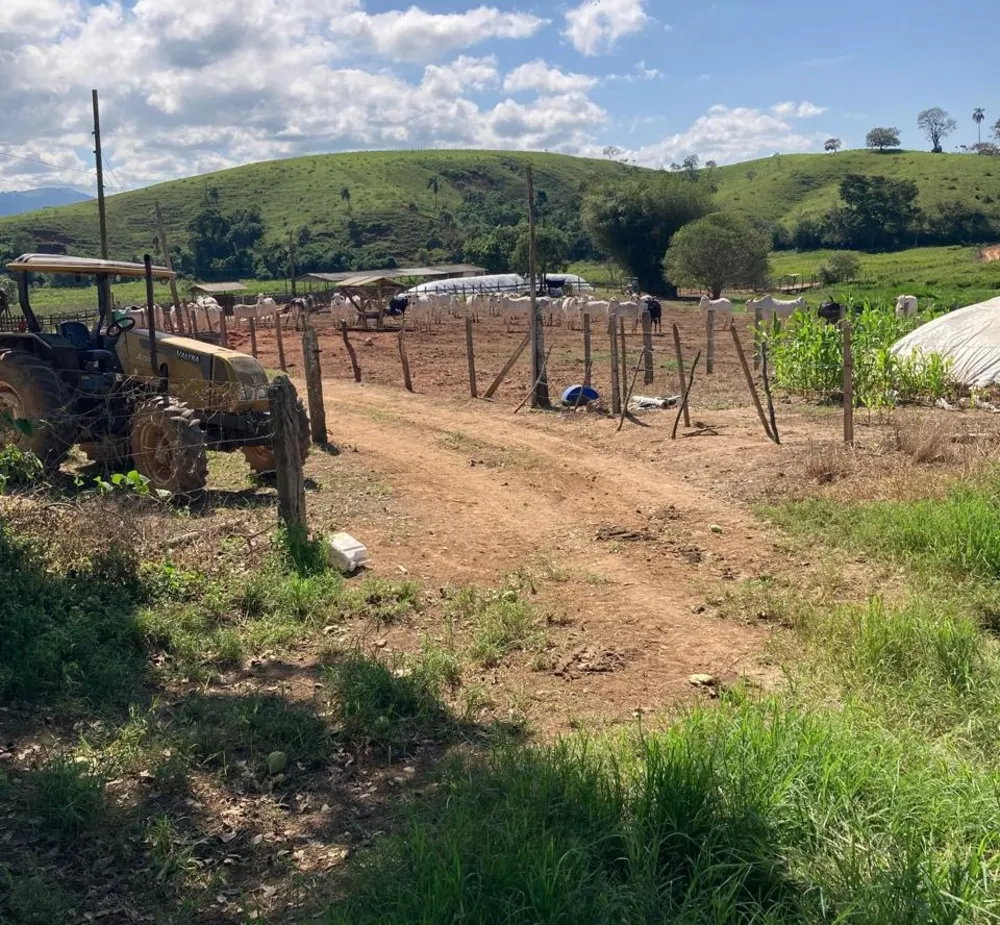 Fazenda, 165 hectares - Foto 7