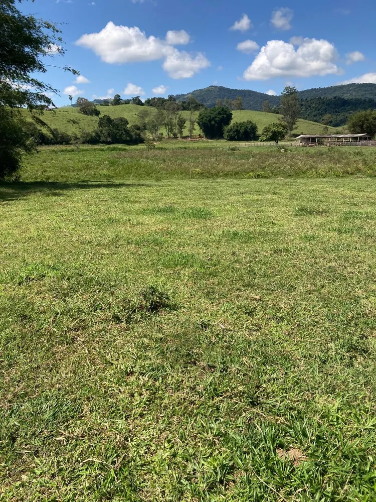Fazenda, 165 hectares - Foto 8
