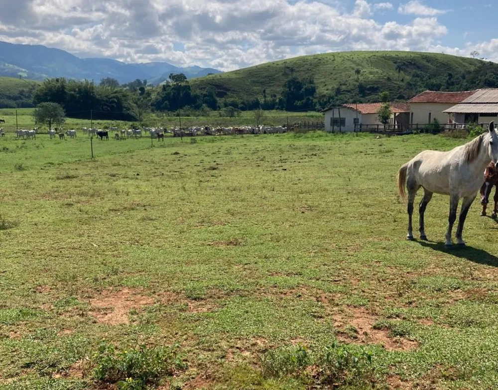 Fazenda, 165 hectares - Foto 2